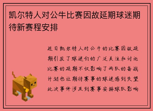凯尔特人对公牛比赛因故延期球迷期待新赛程安排